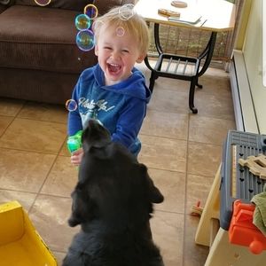 Meet your Posher, Jean